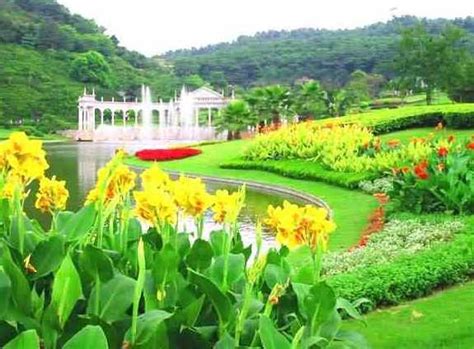 東方白雲花園怎麼樣 這座花園有著何種魔力?